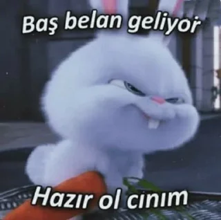 😡 emoji <Hatice>@loressss Telegram sticker 16 of 73