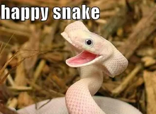 😄 emoji Sneks Telegram sticker 19 of 120