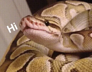 👋 emoji Sneks Telegram sticker 22 of 120