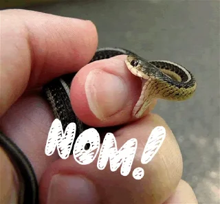 Sticker from Sneks