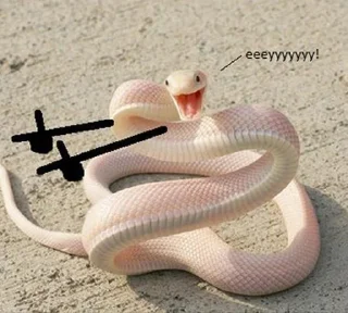 😎 emoji Sneks Telegram sticker 16 of 120