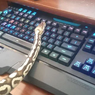 ⌨️ emoji Sneks Telegram sticker 11 of 120