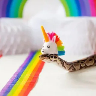 🌈 emoji Sneks Telegram sticker 21 of 120
