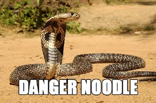 ⚠️ emoji Sneks Telegram sticker 17 of 120