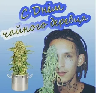🌿 emoji У меня есть много бабок, зови меня дед Telegram sticker 5 of 43
