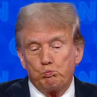 😘 emoji USA 2024 Telegram sticker 13 of 18