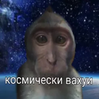 👌 emoji вахуи Telegram sticker 10 of 13