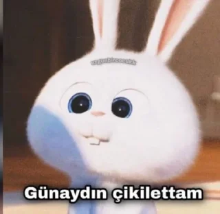 ☺️ emoji ⚜️Yiğit Özr ⚜️ Telegram sticker 1 of 25