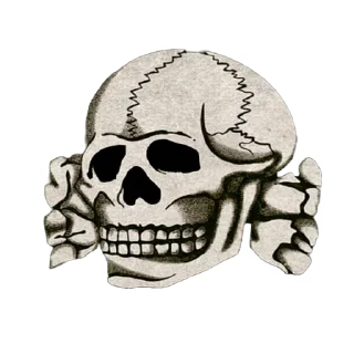 💀 emoji Bulgarian National Union/Kubrat Jugend Telegram sticker 16 of 20