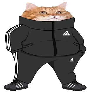 Sticker from Fashion cats in @RetailShopChannel