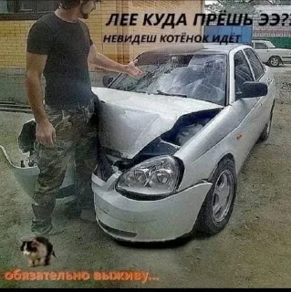 Sticker from Чота