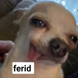 😜 emoji skills Telegram sticker 22 of 23