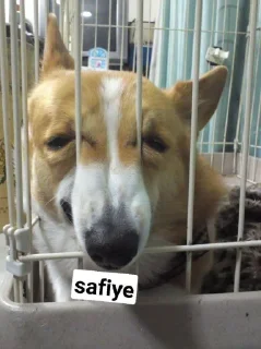 😟 emoji skills Telegram sticker 5 of 23