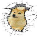 🐕 emoji Dogecoin Telegram sticker 10 of 44