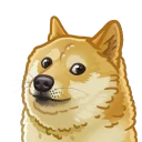 🐩 emoji Dogecoin Telegram sticker 7 of 44