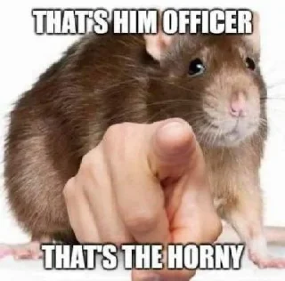 Sticker from Take this rat!
