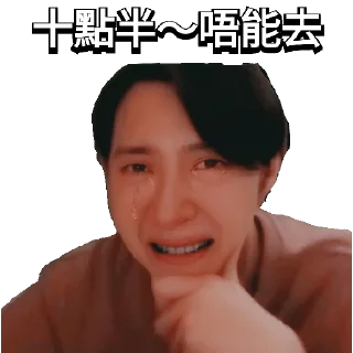 😭 emoji 日更谷友共享 🌼 Telegram sticker 6 of 13
