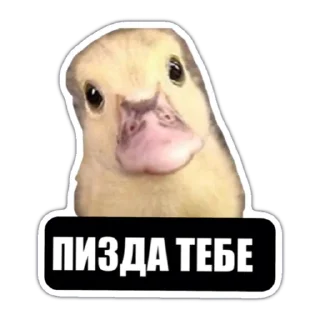 🙂 emoji Samara Telegram sticker 7 of 13