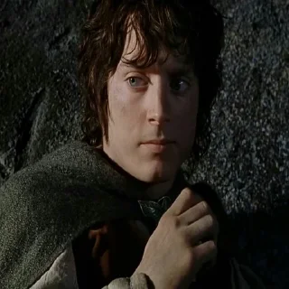 😕 emoji TLOTR Trilogy | @DonutGuy Telegram sticker 6 of 120