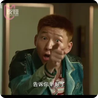 Sticker from 狂飙video✈️飞机会员代开 @piya