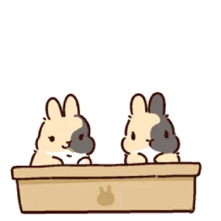 💯 emoji 提摩西小队 Telegram sticker 17 of 50