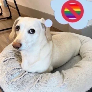 🐕 emoji Pissed dog @woodvale Telegram sticker 5 of 27