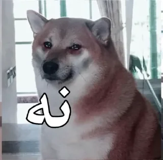 🥺 emoji :D Telegram sticker 22 of 44