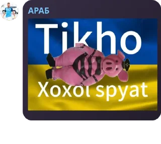 Sticker from @TgEmodziBot Личный стикерпак беседы Вансфутляндия