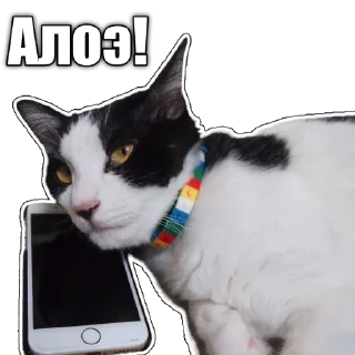 Sticker from Cats police