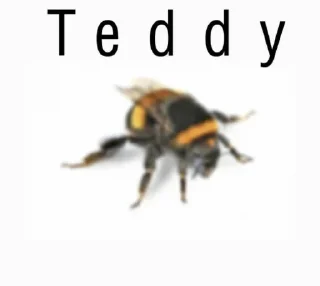 ™ emoji Funny names Telegram sticker 4 of 42