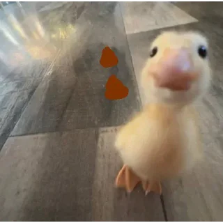 Sticker from DumbAss Duck🦆
