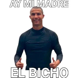 Sticker from El Baito (frases)