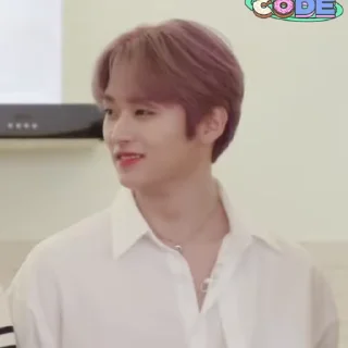 🥢 emoji SKZ Code Ep 18 @SKZSTICKERS Telegram sticker 14 of 50
