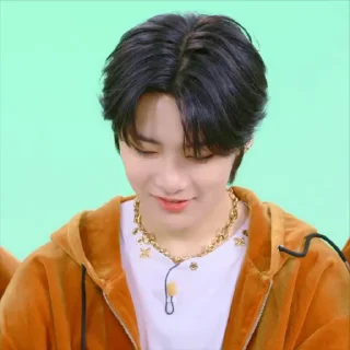 💚 emoji SKZ SPOTIFY @SKZSTICKERS Telegram sticker 17 of 49