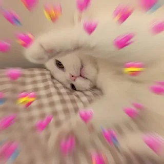 ❤️ emoji Wholesome Cats Telegram sticker 13 of 49