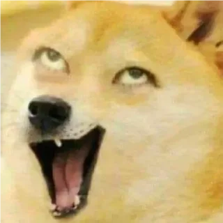 💟 emoji dogs Telegram sticker 14 of 22