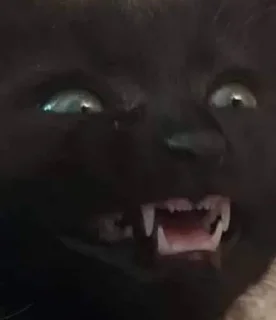 🙀 emoji ТипаТого Telegram sticker 12 of 32