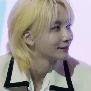 🕶 emoji ‌‌            allegra 's jeonghan @tuIcie Telegram sticker 10 of 79