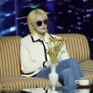 🕶 emoji ‌‌            allegra 's jeonghan @tuIcie Telegram sticker 9 of 79