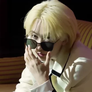🕶 emoji ‌‌            allegra 's jeonghan @tuIcie Telegram sticker 22 of 79