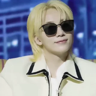 🕶 emoji ‌‌            allegra 's jeonghan @tuIcie Telegram sticker 11 of 79