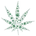 😁 emoji weed Telegram sticker 2 of 58