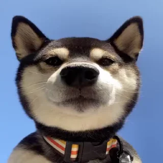 😐 emoji - By - @Darkdate - Telegram sticker 10 of 49