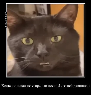 🌟 emoji Прикольными подсели 2.0 Telegram sticker 7 of 79