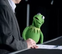 😮 emoji Kermit the frog Telegram sticker 1 of 52