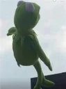 🙁 emoji Kermit the frog Telegram sticker 14 of 52