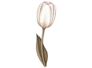 🌟 emoji @idumira25 Telegram sticker 22 of 83