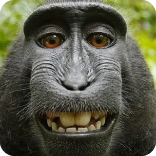😂 emoji аьлаь Telegram sticker 3 of 8