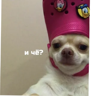 😂 emoji аьлаь Telegram sticker 6 of 8