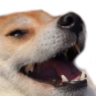 😐 emoji Rosa_A Telegram sticker 22 of 32
